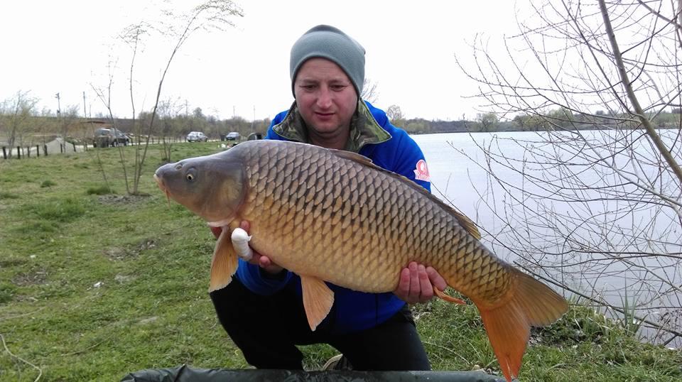 2016 in imagini  - 125239552364062633766982140729935879085022n.jpg